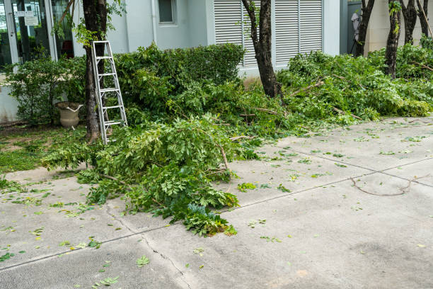 Best Emergency Tree Service  in Robinson, TX